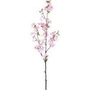 PTMD - Kunstbloem Blossom - Roze - 50x30x95cm