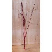 4 stuks - Kerstgroen rode takken Cornus