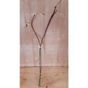 4 stuks - Kerstgroen grote lange krullende takken