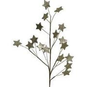 Spray foam l6b18h70cm goud