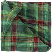 Plaid victor 200x150cm donkergroen