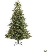 Geneva fir nostalgic lights II indoor