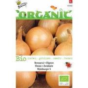 5 stuks - Organic Zaai Ui Rijnsburger (Skal 14725) Tuinplus