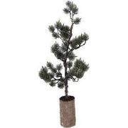 Clayre & Eef Mini Kunstkerstboom 23x23x60 cm / 3xAAA Groen Hout