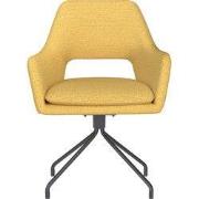 Eetkamerstoel Geel - Metaal Draaibaar - Mos