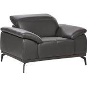 VEJEN - Fauteuil - Zwart - Veganistisch eco-leer