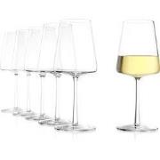 set/6 witte wijn 40 cl Power