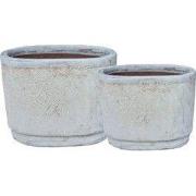PTMD Javier Grey Ceramic Pot Oval Set Of 2