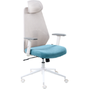 ORYN - Bureaustoel - Grijs/Groenblauw - Mesh