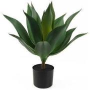 Present Time - Kunstplant Succlulent - Donkergroen