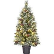 Black Box Trees Vandans kerstboom potted led groen frosted 40L TIPS 96...