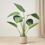 URBANJNGL - Strelitzia 120 cm - Kunstplant