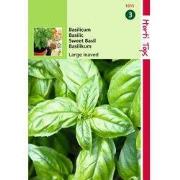 2 stuks - Basilicum Grove
