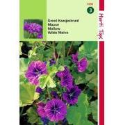 2 stuks - Kaasjeskruid