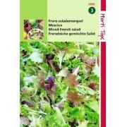 2 stuks - Mesclun, Frans Salademengsel