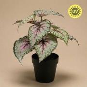 URBANJNGL - Begonia kunstplant – 26 cm – In pot – UV-bestendig