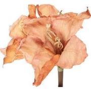 Clayre & Eef Kunstbloem 65 cm Oranje Kunststof