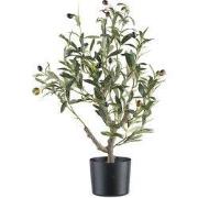 Kopu® kunstplant Olijfboom 70cm met pot - zwart/groen