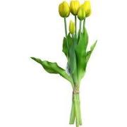Boeket 5 Tulpen Geel