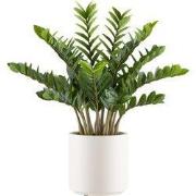 Kopu® Kunstplant Zamioculcas zamiifolia 85 cm