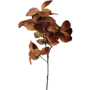 Berkenblad oranje bruin 120 cm