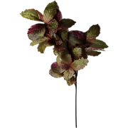 Berkenblad groen rood 120 cm