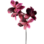 Berkenblad roze rood 120 cm