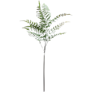 Varenblad lichtgroen 91 cm