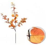Money leaf tak oranje 104 cm