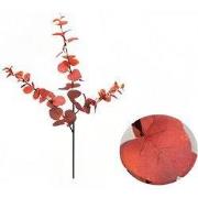 Money leaf tak bruin rood 104 cm