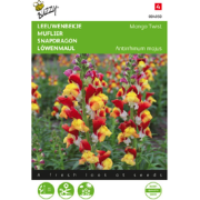 Zaden antirrhinum leeuwenbekje mango twist 0.05 gram