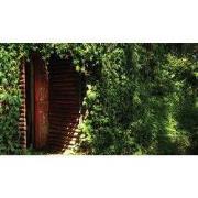 Verborgen deur 130x70cm Tuinschilderij