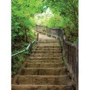 Oude trap 50x70cm Tuinschilderij