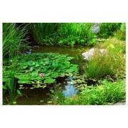 Tuindoek wilde vijver 210x140cm