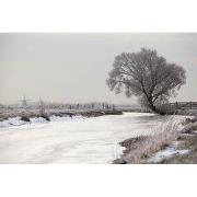 Tuinschilderij polder winter 130x70