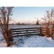 Tuinschilderij kalkmln winter 70x50