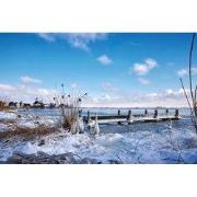 Tuinschilderij haven in ijs 70x50cm