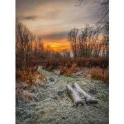 Tuinschilderij winter sunset 130x70