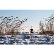 Tuinschilderij molen sneeuw 70x50cm