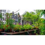 Tuinschilderij bloemen boot 70x50cm