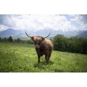 Tuinschilderij hoogl bergen 130x70