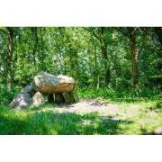 Tuinschilderij prehistorie 130x70cm