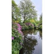 Tuinschilderij bloemenpracht 130x70