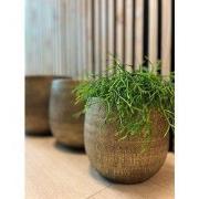 HS Potterie Bloempot Miami Goud - H40