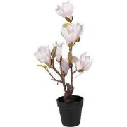 Clayre & Eef Kunstboom Magnolia 12x12x40 cm Wit Kunststof
