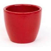 URBANJNGL - Love in Red - Mini plantenpotje - Pot Boule Rood - Ø 6 cm ...
