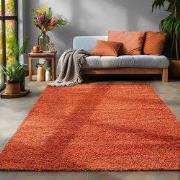 Tapijtenloods Basic Shaggy vloerkleed Terra / Oranje Hoogpolig- 60x110...