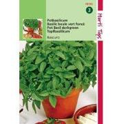 2 stuks - Pot Basilicum Bascuro Donkergroene