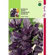 2 stuks - Basilicum Rode Dark Opal