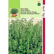 2 stuks - Tijm, Echte Winter Thymus Vulgaris